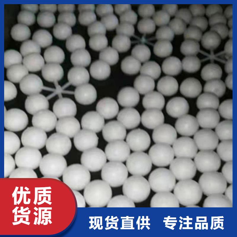 改性纤维球厂家欢迎来电货号2-101当地生产商