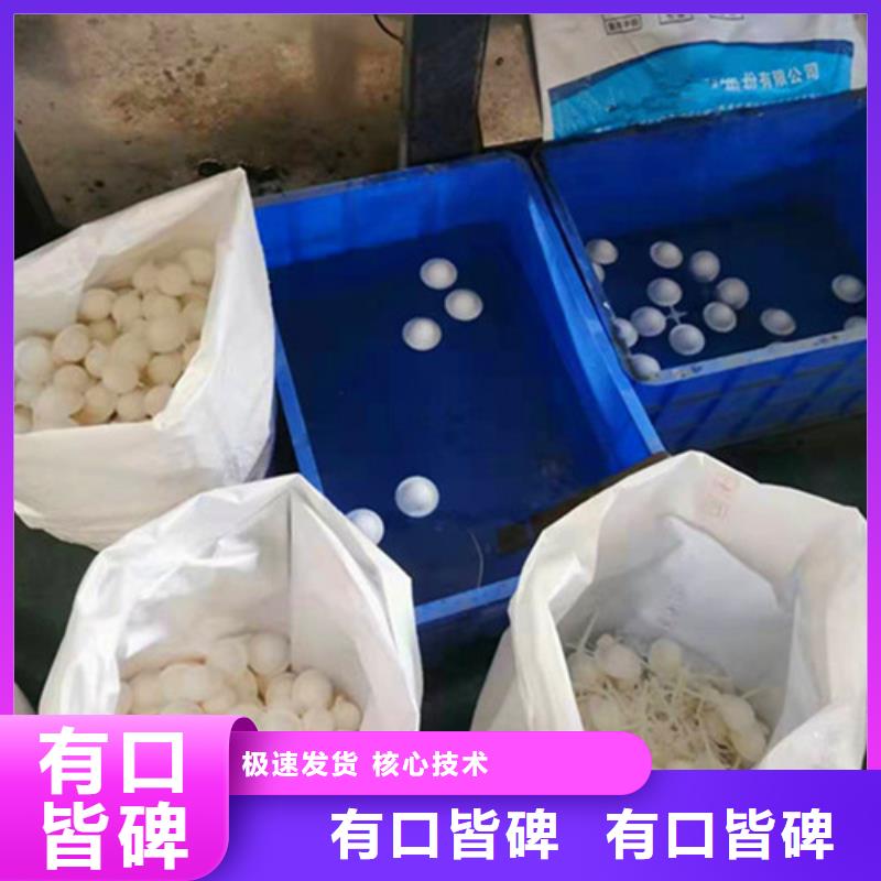 改性纤维球填料欢迎来电货号2-101当地经销商
