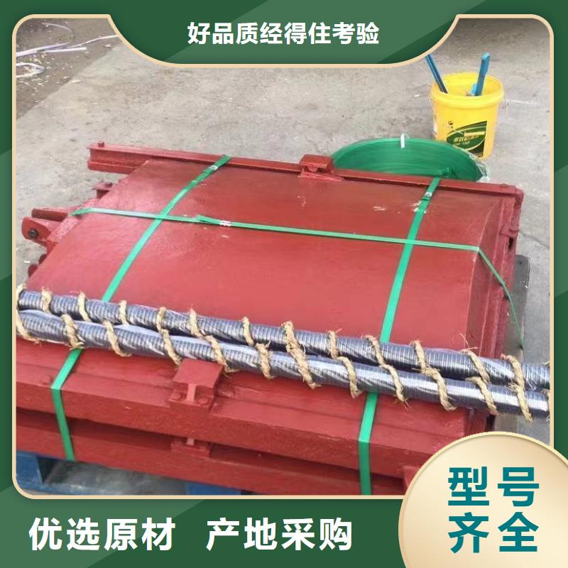 铸铁镶铜闸门_双向挡水铸铁闸门[厂家价格]当地公司