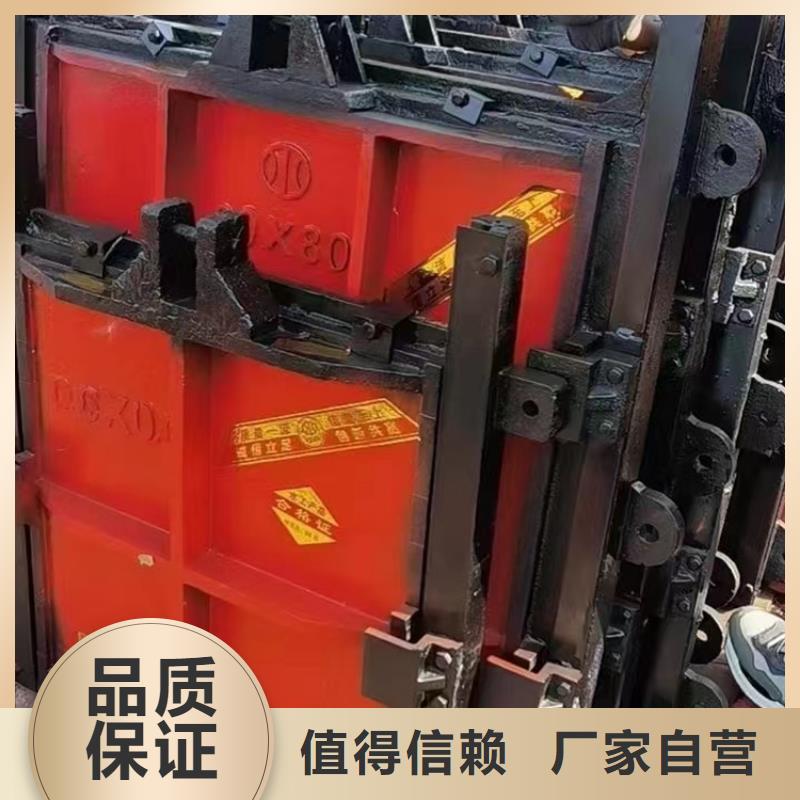 闸门启闭机_双向螺旋闸门-供应商价格厂家质量过硬