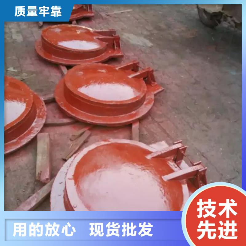 2025经验丰富#法兰式铸铁拍门定制#源头厂家保障产品质量
