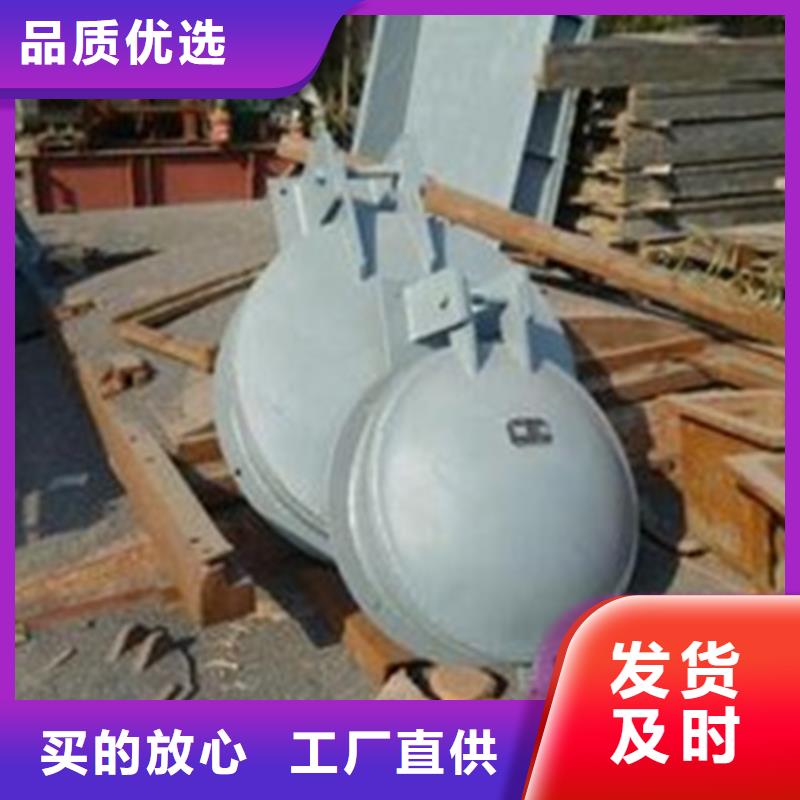 信誉好的水利拍门单开拍门生产厂家当地货源