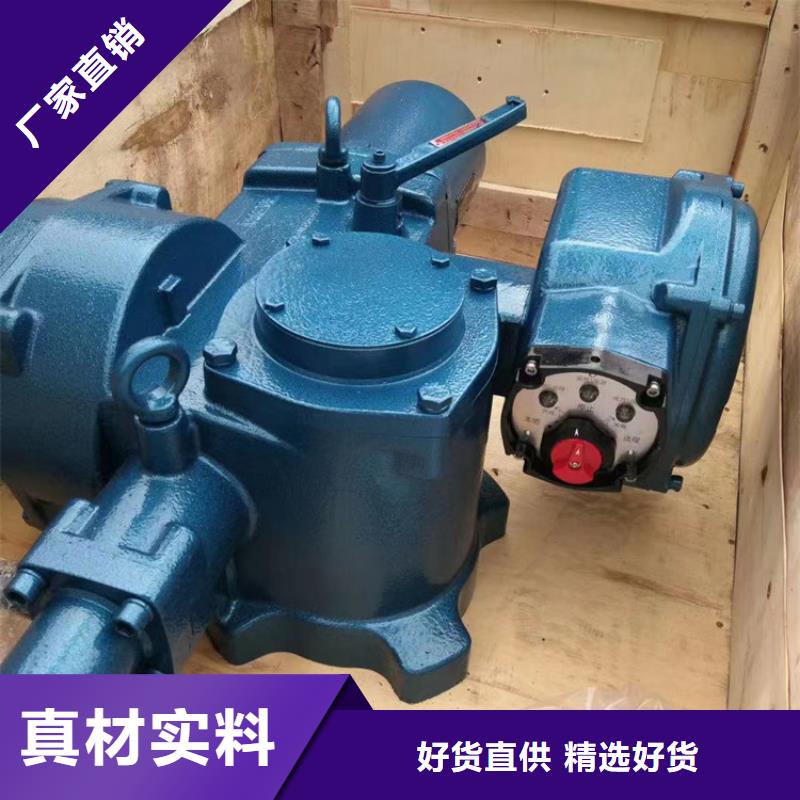 摇摆式螺杆启闭机型号款式按需定制本地服务商