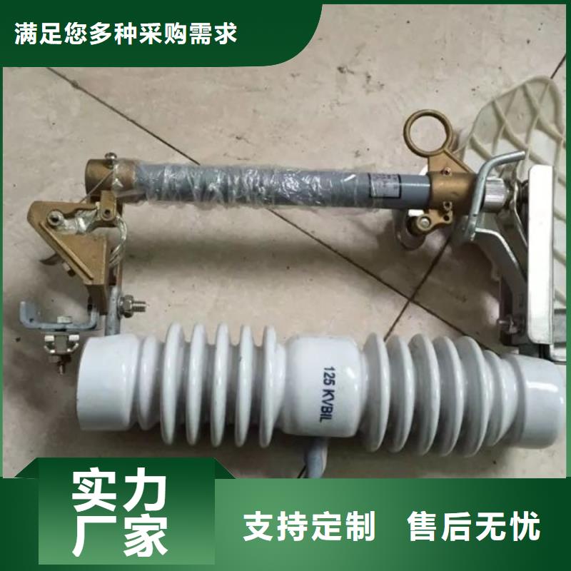 高压熔断器/RW12-10/100A大量现货