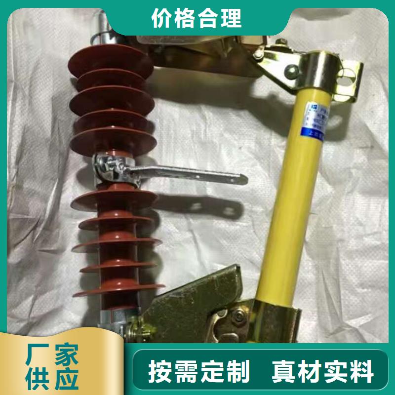 高压熔断器/RW7-10/100A随心所欲定制