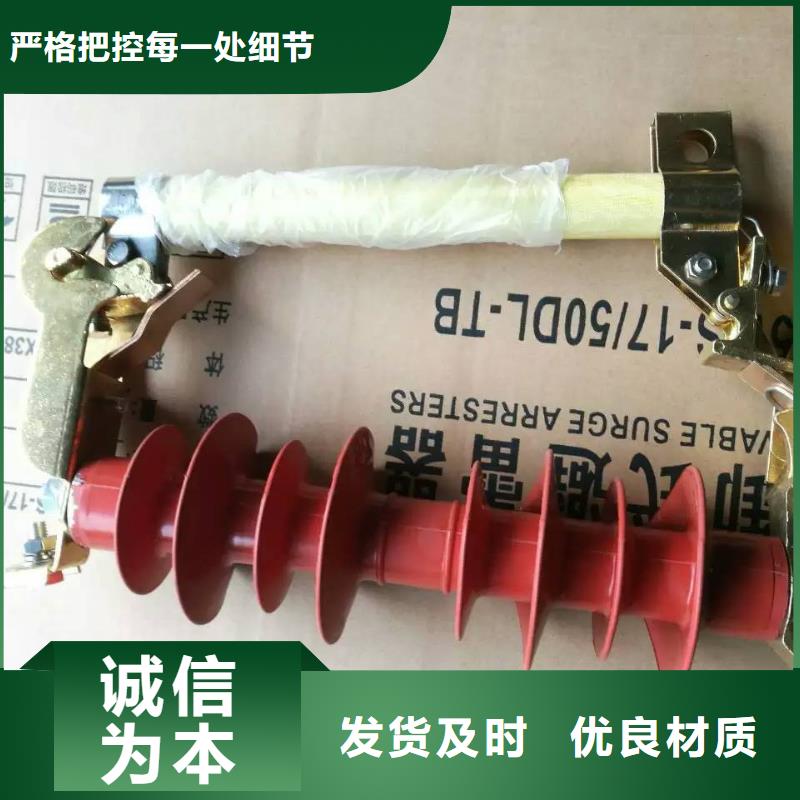 _避雷器Y10WS-100/260【羿振电气】多年厂家可靠