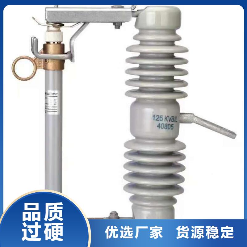 【高压熔丝具】RW12-10/100当地品牌