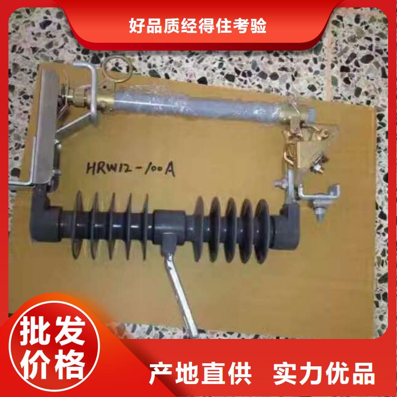 【】跌落式熔断器HRW12-10KV/100A欢迎来厂考察