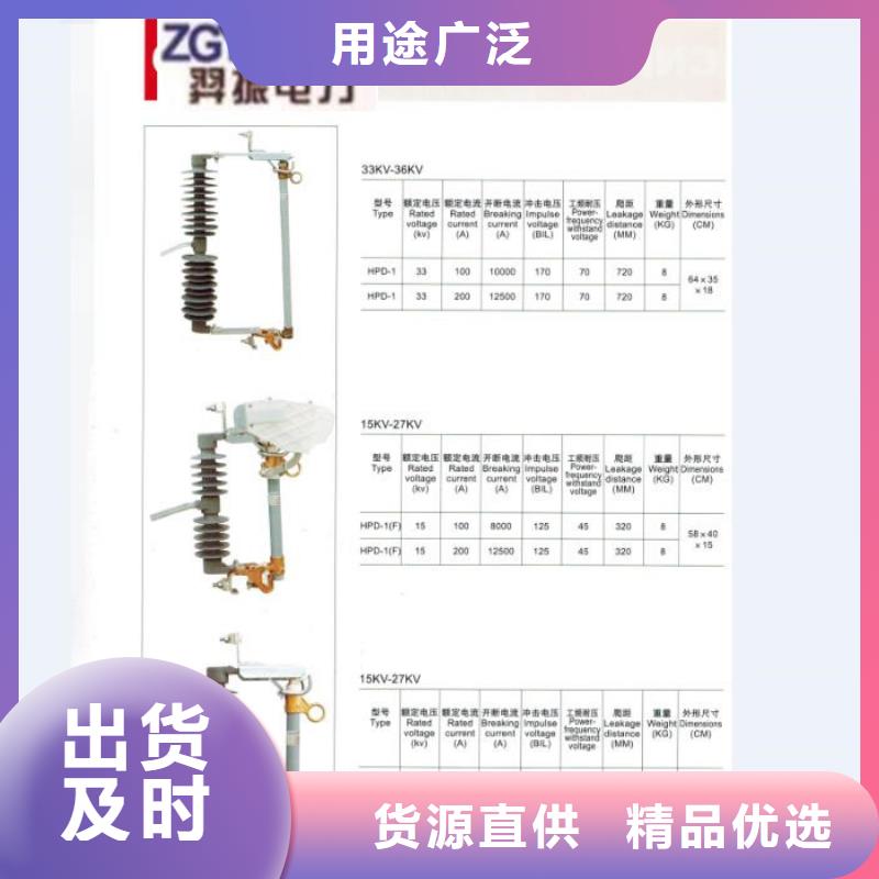 跌落式熔断器_RW12-10F/100A同城货源