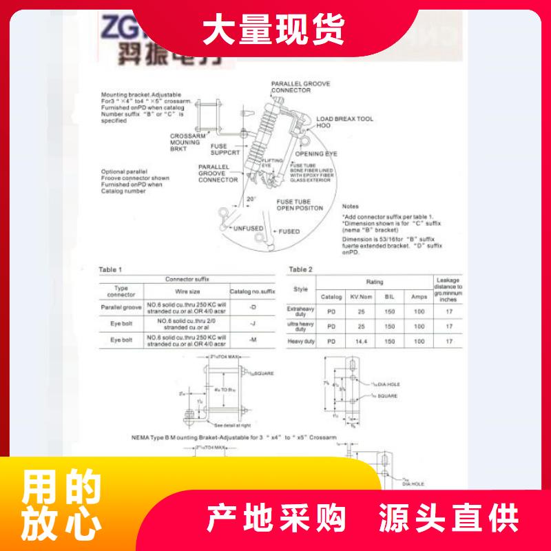 高压熔断器/RW12-15/100A产品优良