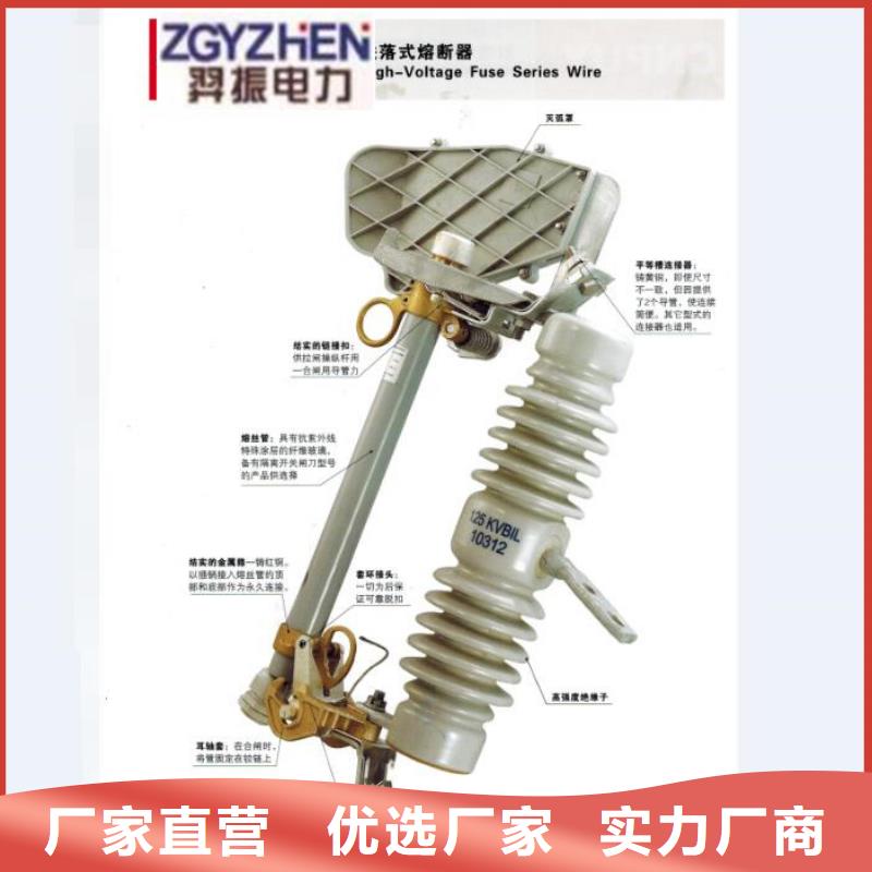 【跌落式熔断器】RW4-10KV/100当地生产厂家