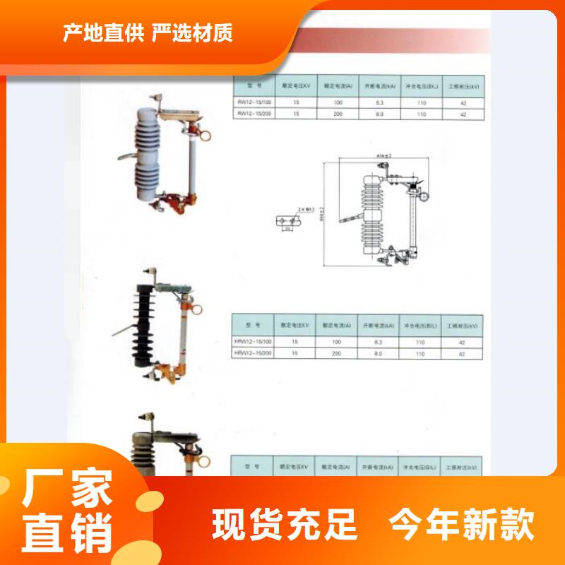 【跌落式熔断器】RW12-10F/100A自主研发