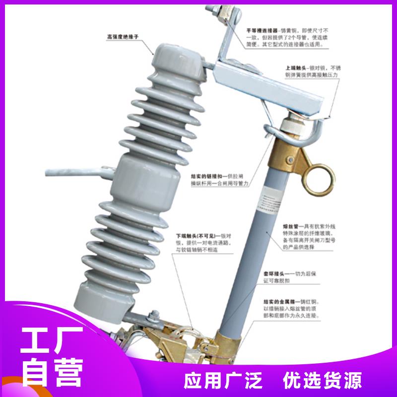 跌落式熔断器_HRW12-10/100A本地服务商