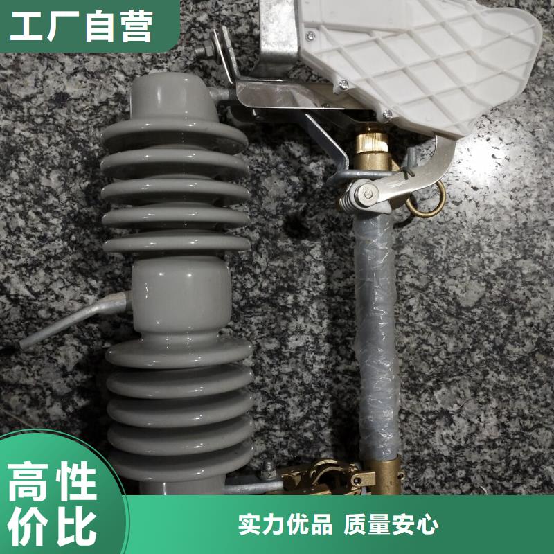 高压熔断器/HPRWG1-10F/100A/HPRWG1-10F/200A本地经销商