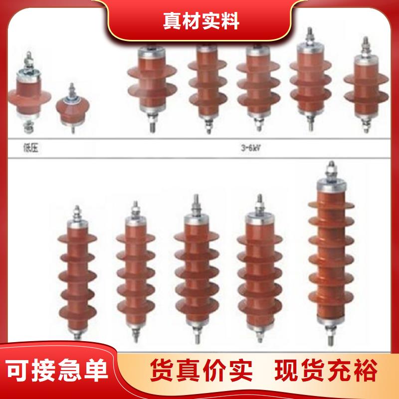 【羿振电气】避雷器Y10W5-116/302本地制造商