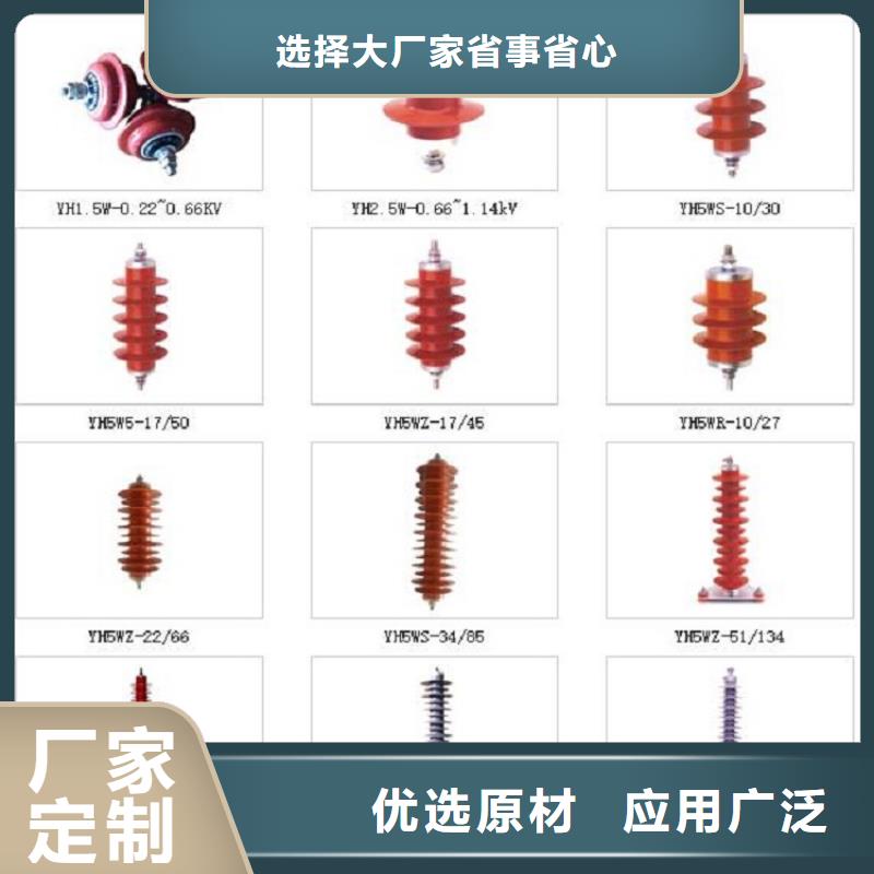 避雷器Y10W5-96/250【羿振电气】现货交易