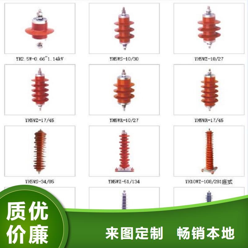 瓷外套金属氧化物避雷器Y10W-200/496【浙江羿振电气有限公司】实力才是硬道理