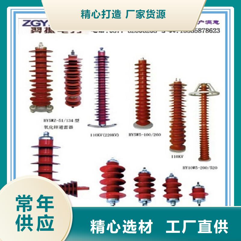 【金属氧化物避雷器】避雷器Y10W-312/760W实地大厂