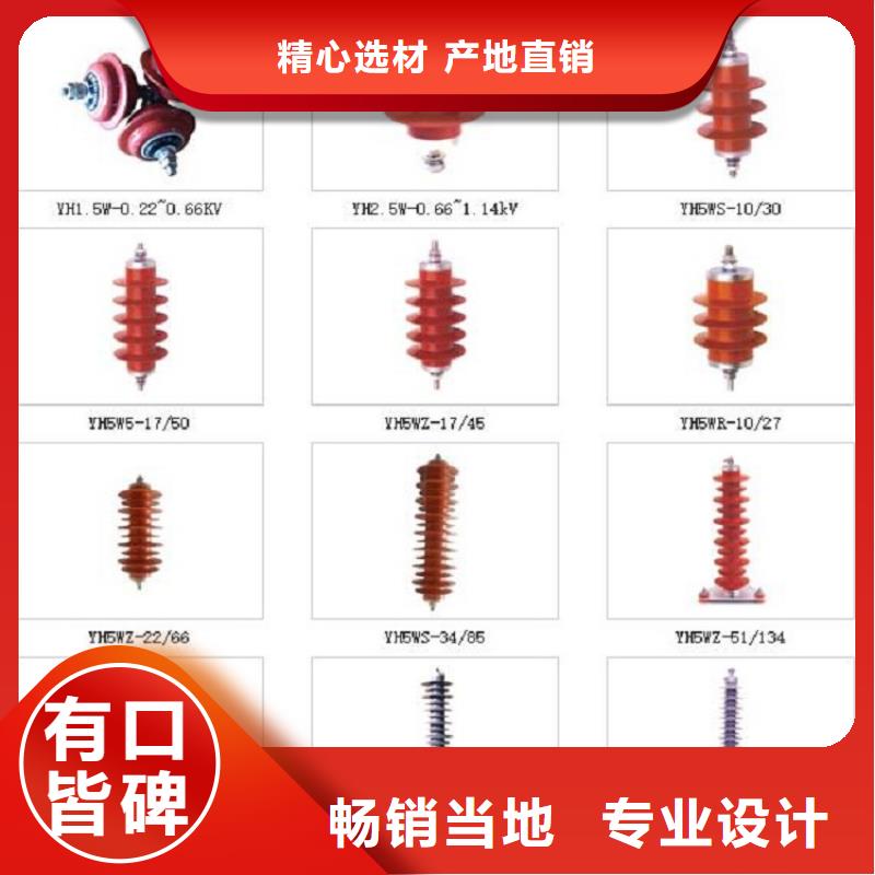 【羿振电气】避雷器YH1.5W5-33/81当地制造商