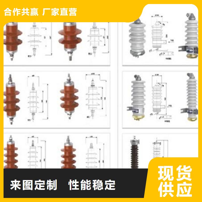 避雷器Y10W-216/562浙江羿振电气有限公司质量安心