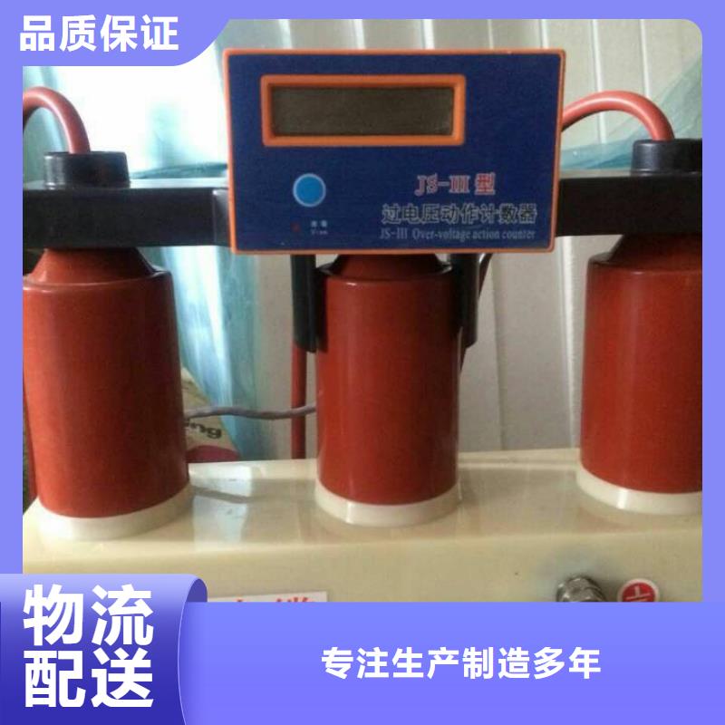 【】〖过电压保护器〗TBP-B-35KV质量可靠同城经销商