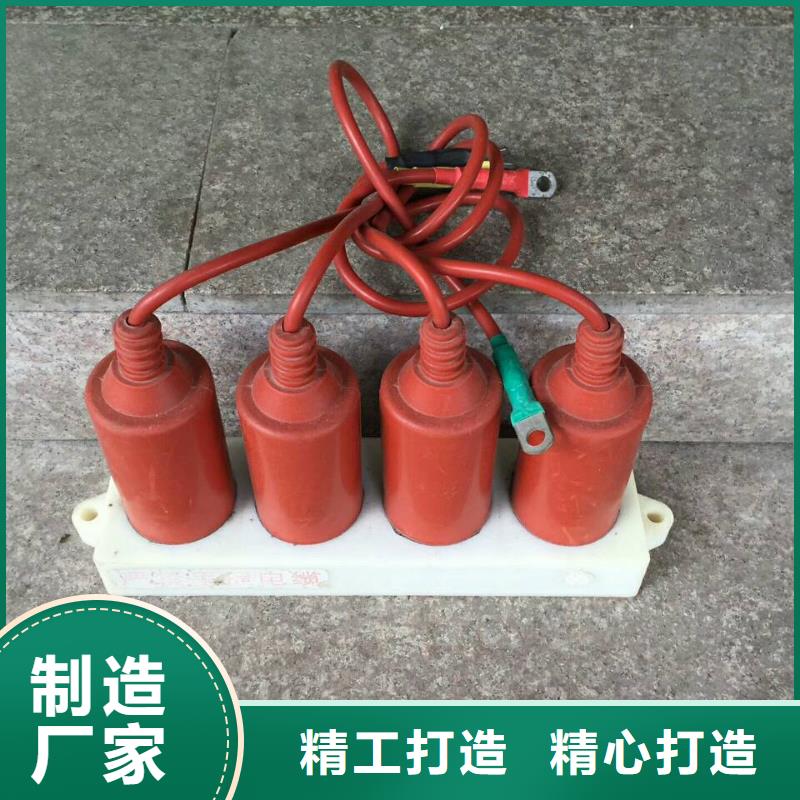 【】过电压保护器(组合式避雷器)TBP-C-42/630W2本地制造商