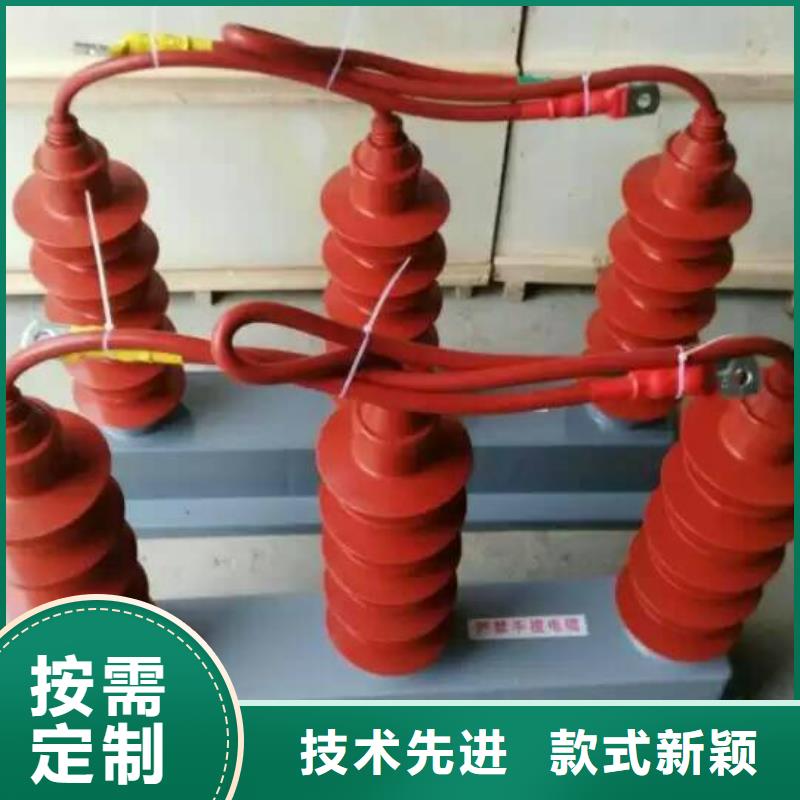 过电压保护器(组合式避雷器)TBP-A-42F/280-IM的图文介绍