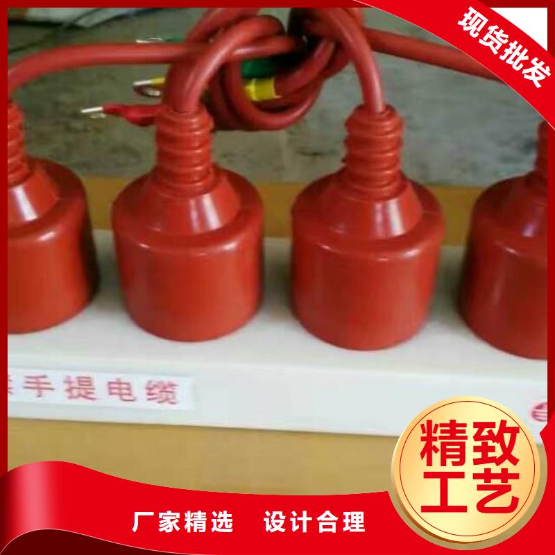 【组合式避雷器】TBP-B-12.7F/131厂家现货供应
