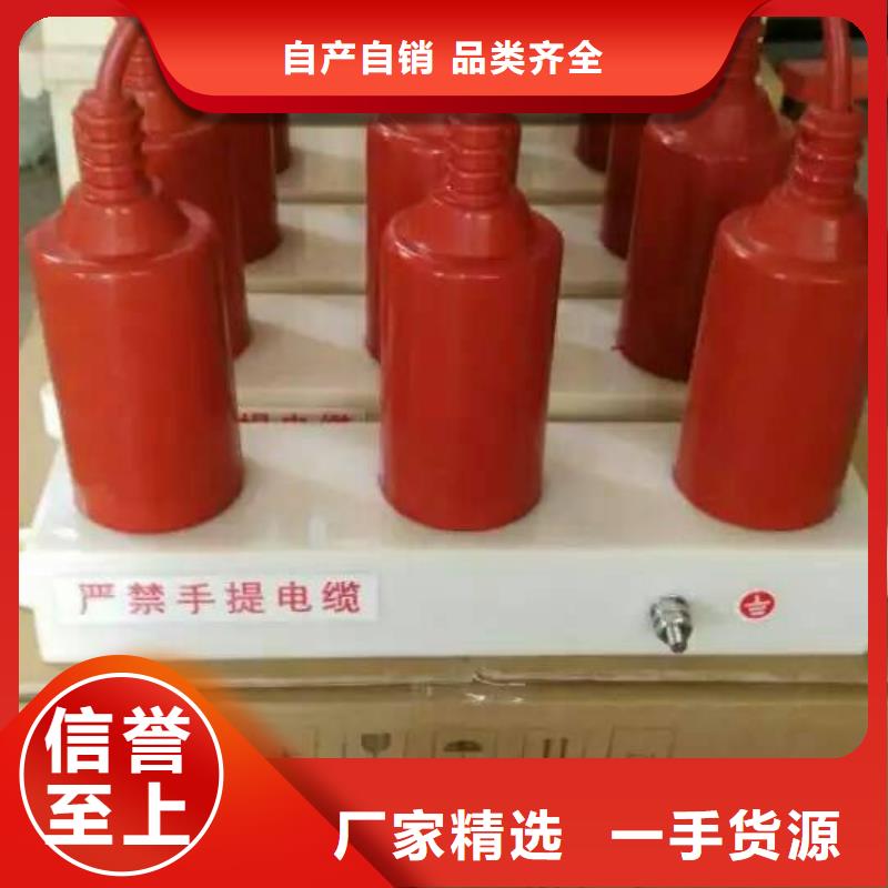 【过电压保护器】TBP-C-42/200工厂采购