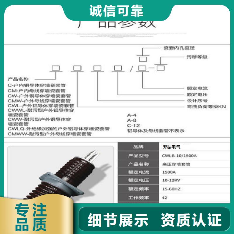 【穿墙套管】CWL-10KV/400A品质服务