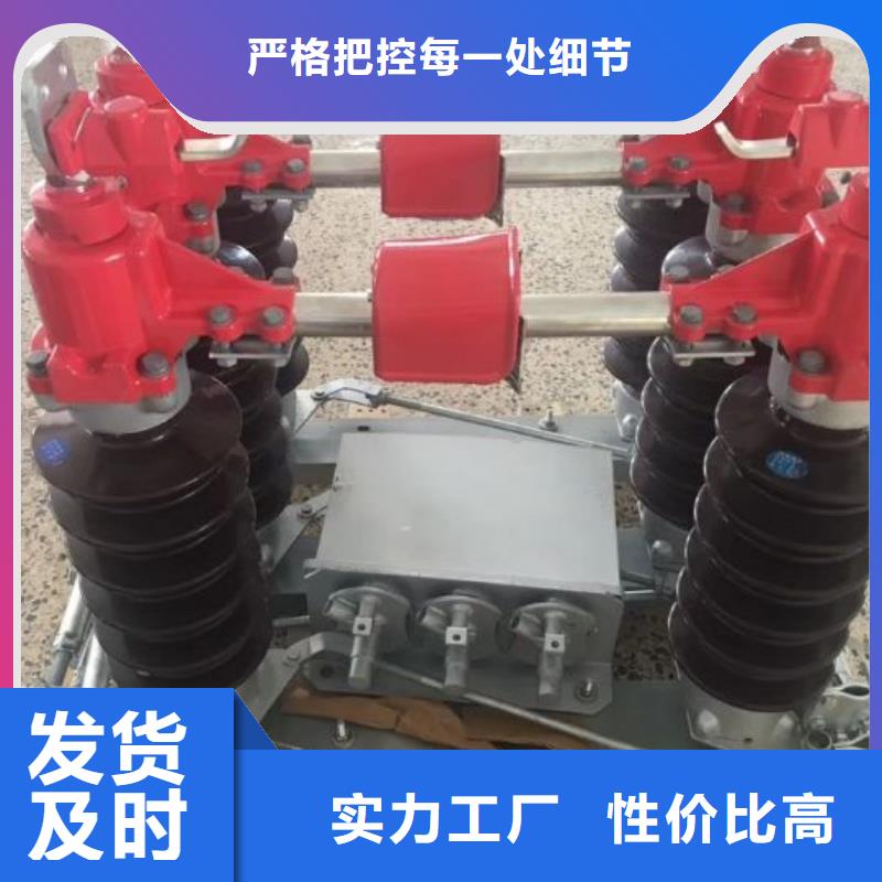 高压隔离开关GW5-40.5D/630A四级防污、侧装、单接地，手动【】生产商品牌：羿振电气质检合格发货