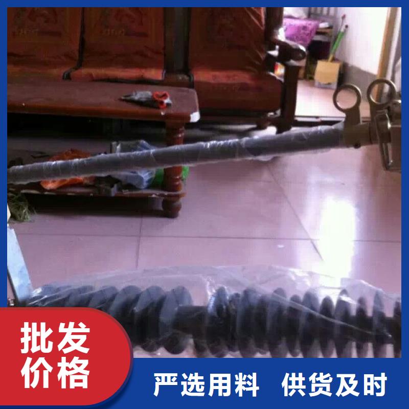 【跌落式熔断器】RW12-10/100生产厂家实力优品
