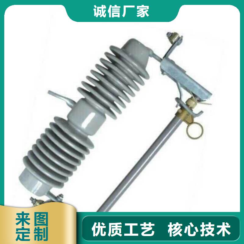 【跌落式熔断器】RW20-10/100A现货充足