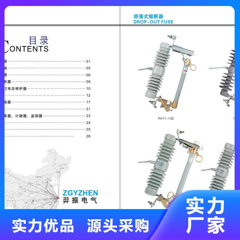 【】支柱绝缘子_ZSW-252/8质优价廉