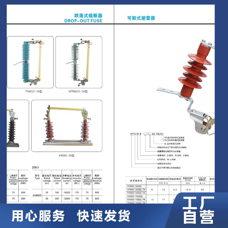 【】ZS-110/4：支持绝缘子价格实惠工厂直供
