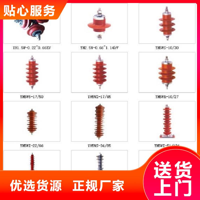 氧化锌避雷器Y10W-216/562了解更多信誉有保证