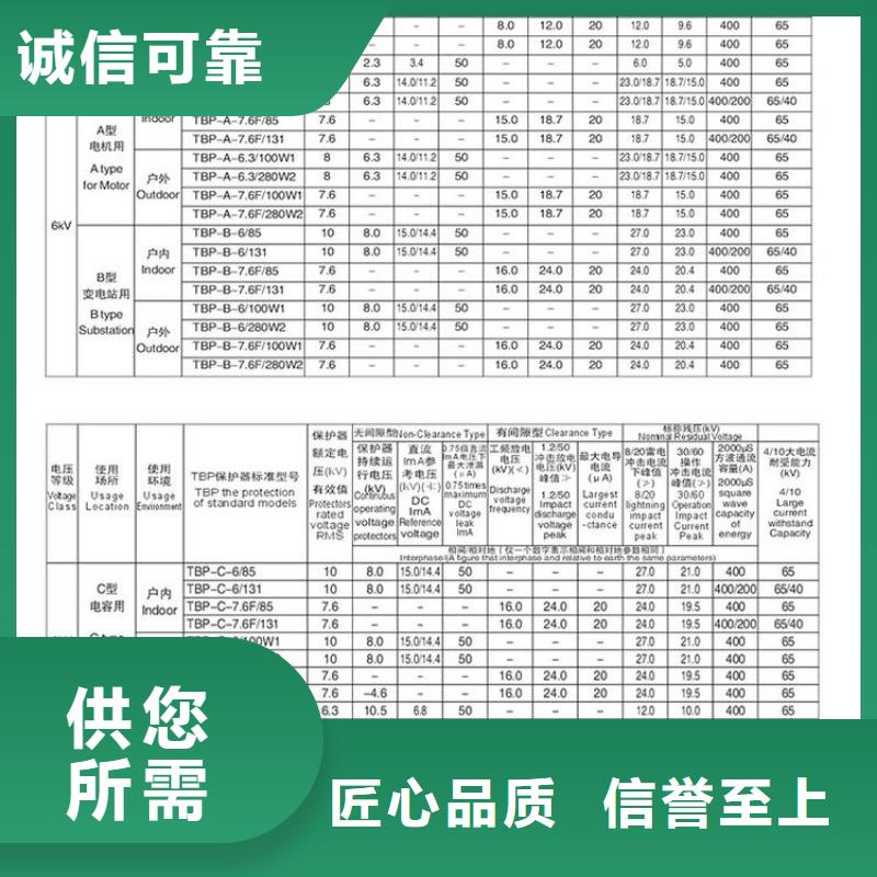 【】保护器(组合式避雷器)TBP-A-10.5/131直销厂家