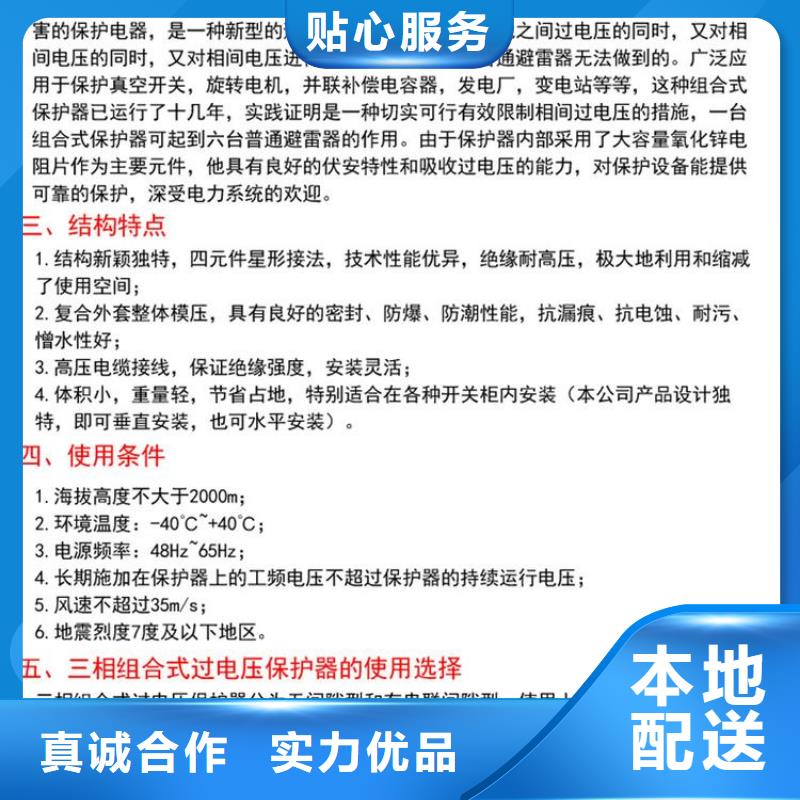 【】过电压保护器(组合式避雷器)BSTG-C-12.7/131本地制造商