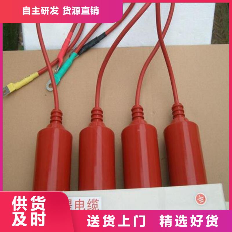 【避雷器/过电压保护器】YH2.5WD-13.5/38.7*13.5/31满足客户所需