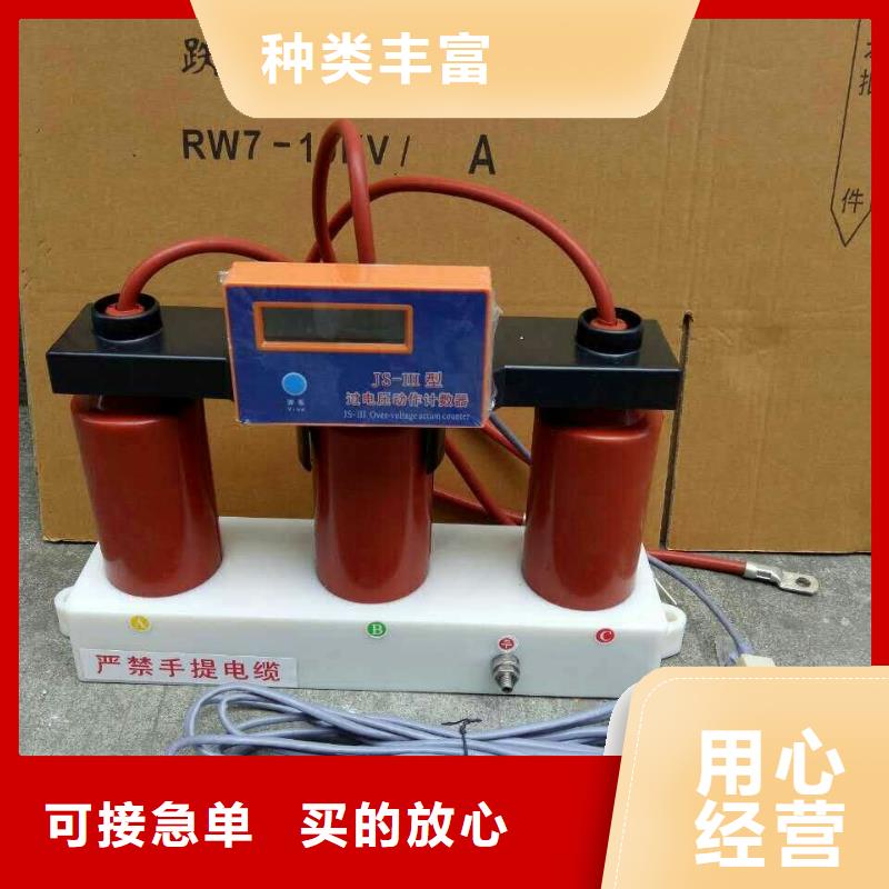 【】〖过电压保护器〗TBP-C-12.7/131型号齐全实力厂家直销