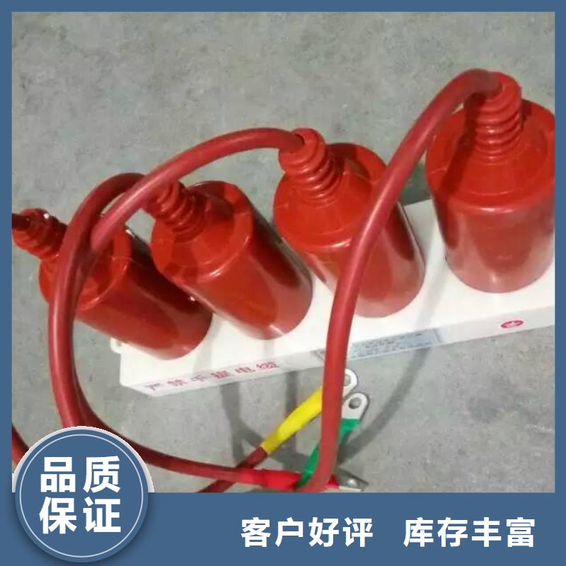 【避雷器/过电压保护器】TBP-B-12.7/85采购无忧