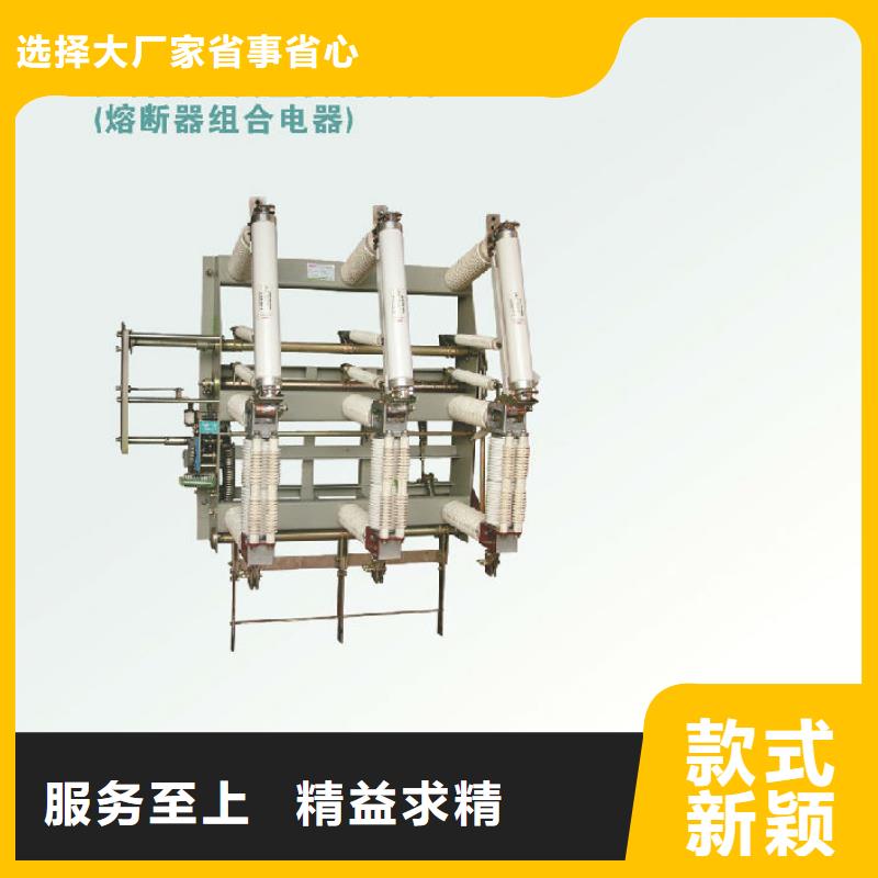 【】户内高压负荷开关FN5-12R/400A贴心服务