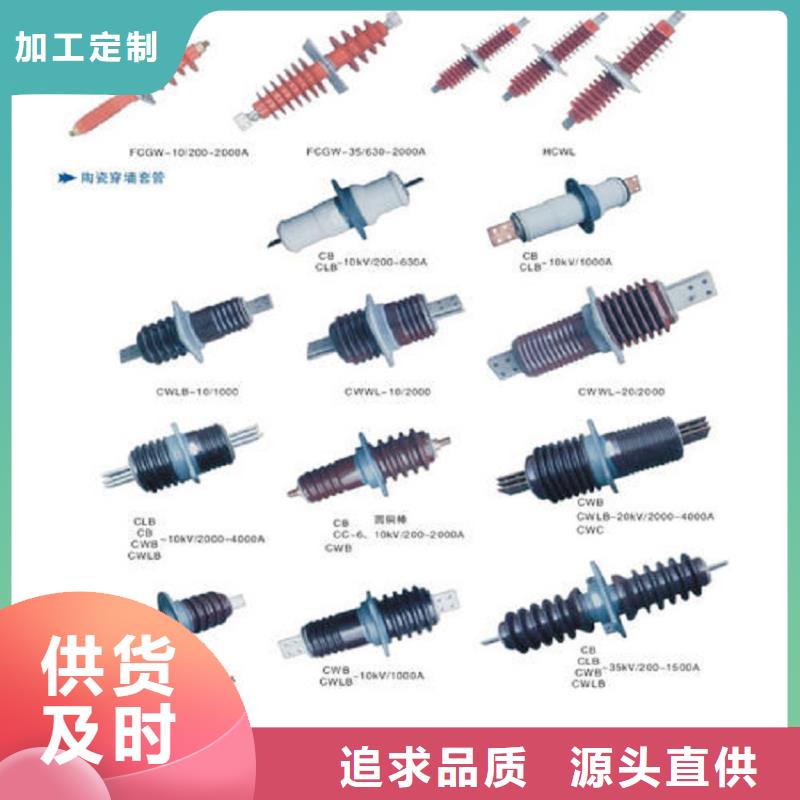 〖高压穿墙套管〗CWWL-20/3000A-4质量放心厂家采购