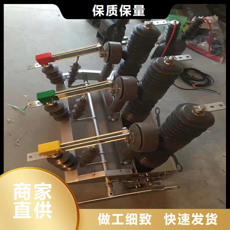 【柱上断路器】智能型断路器ZW32-12GF/630-25好品质经得住考验