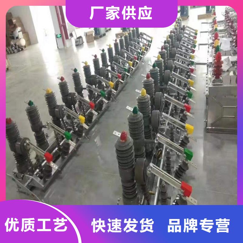 【】柱上断路器ZW32-12DG/T630-2548小时发货