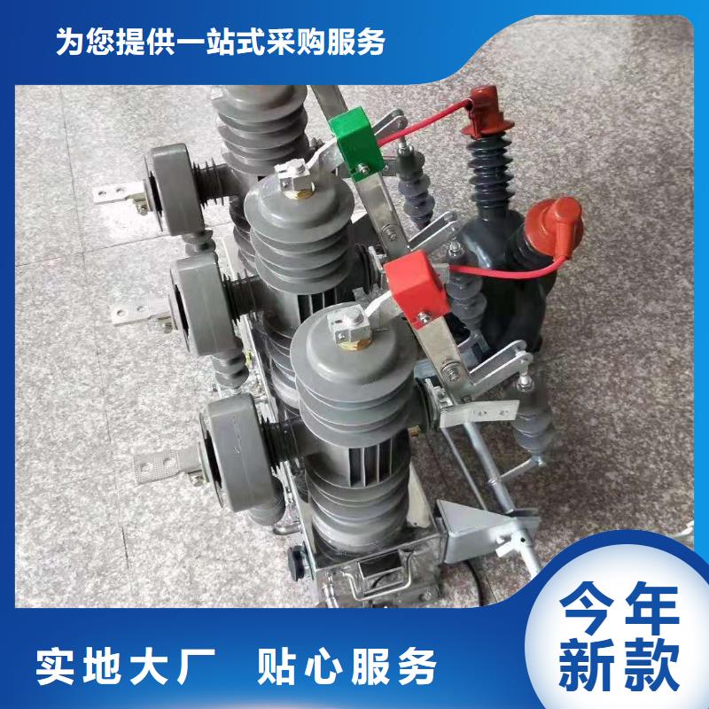 永磁真空断路器ZW32-12G/M630-25本地生产厂家