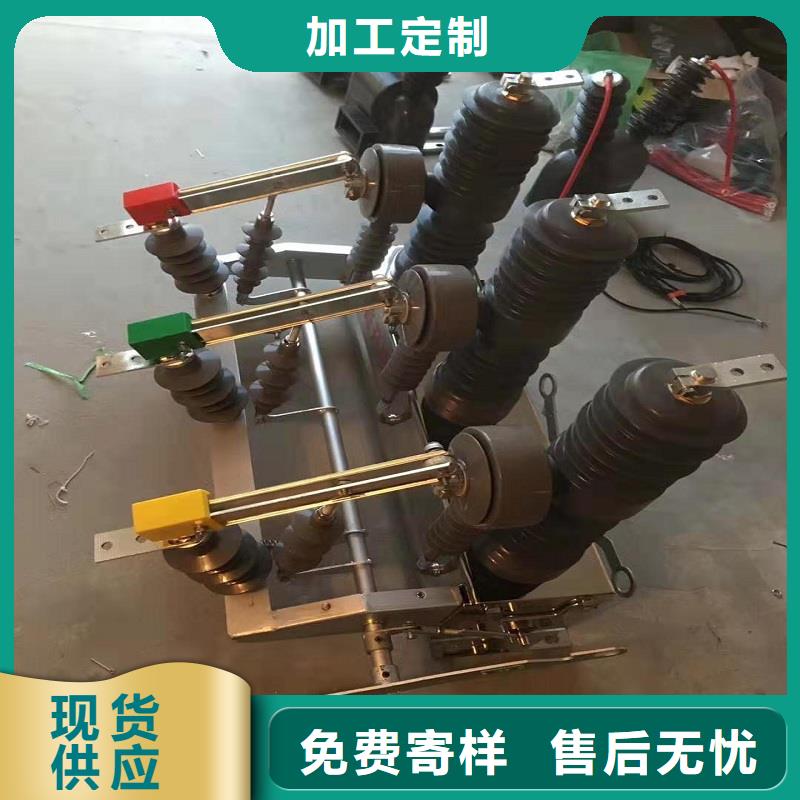 【高压真空断路器】ZW32F-12大厂家实力看得见