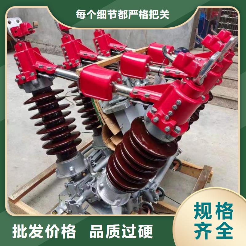 高压隔离开关GW4-17.5IIDW/200A.用心服务