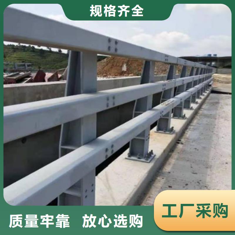 厂家批量供应不锈钢复合管桥梁护栏当地供应商