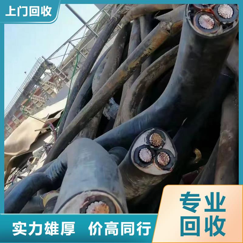 有实力的馈线回收价格厂家价格合理